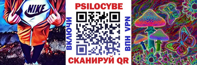 blacksprut ссылки  Киров  Галлюциногенные грибы MAGIC MUSHROOMS  купить  цена 
