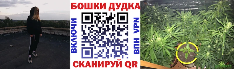 Каннабис SATIVA & INDICA  Киров 